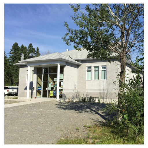 Emploi et développement social